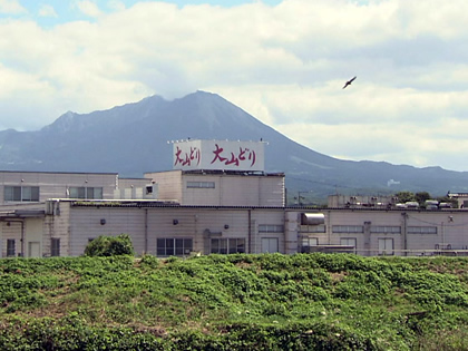 紹介企業