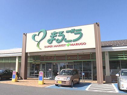 紹介企業