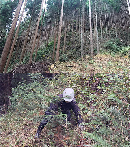 放送内容写真