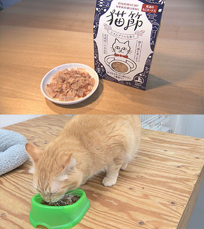放送内容写真