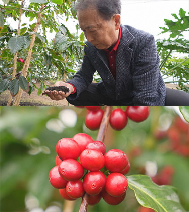 放送内容写真