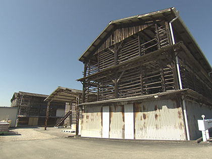 紹介企業