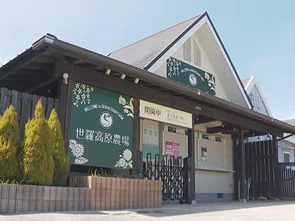 紹介企業