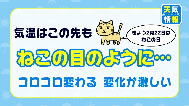 今日は ねこの日 お天気キャスターブログ Tssテレビ新広島