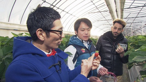 イタリア人男性 友達作りたがリーノ 行きたがリーノ Tssテレビ新広島 イタリア人男性 友達作りたがリーノ 行きたがリーノ Tssテレビ新広島