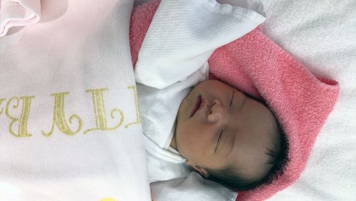 桑原恋華