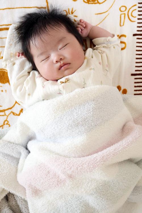 あおい