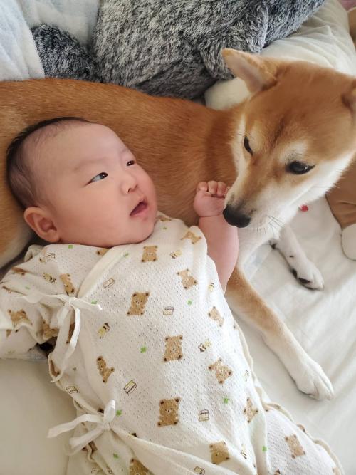 悠日