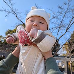 ラモちゃん様　ご相談 Amazon.co.jp: モグモグ とらちゃん : 新井 洋行, 新井 洋行: 本