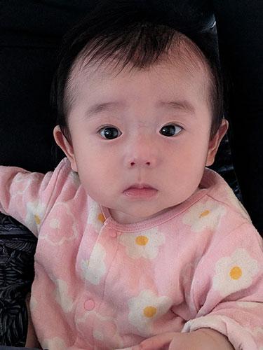 愛莉