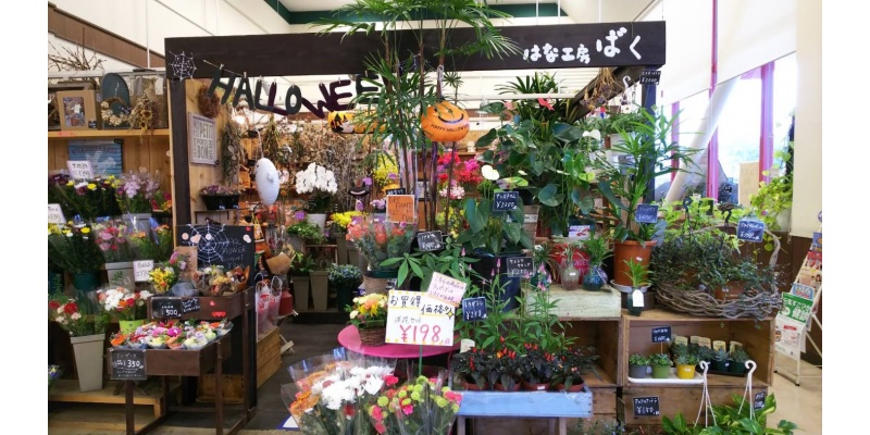 はな工房ばく西条店 店舗情報 Lohas Flower ロハスフラワー Tssテレビ新広島
