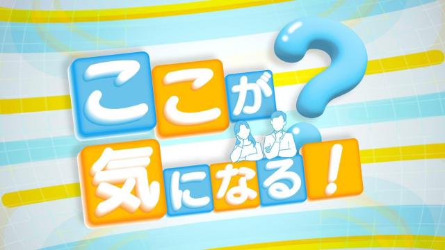 ここが気になる!