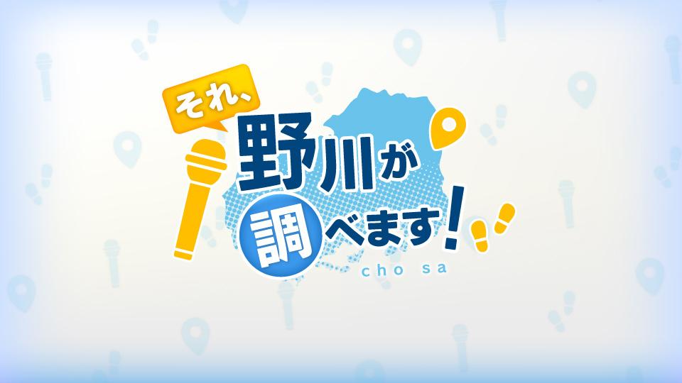 それ、野川が調べます!
