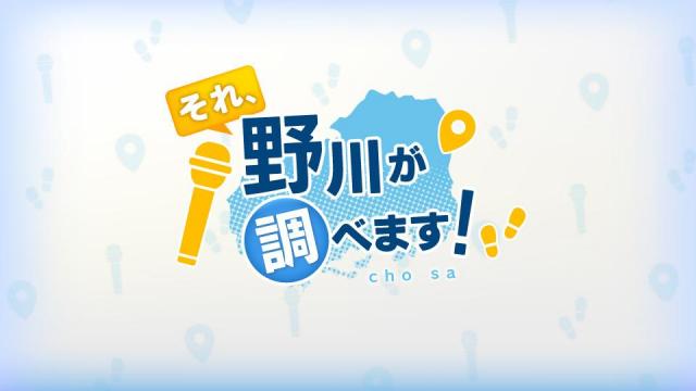 それ、野川が調べます!