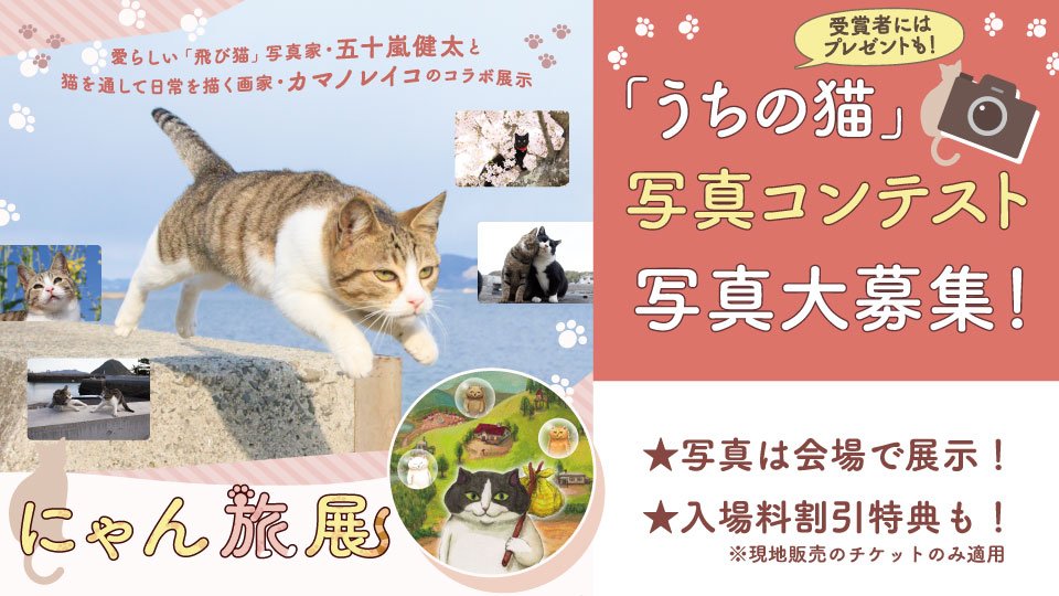 【広島三越イベント】かわいい猫ちゃんの写真を大募集