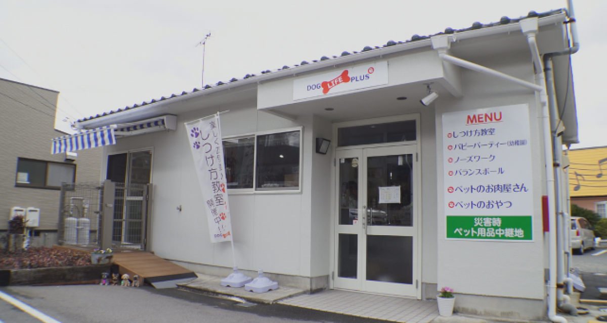 もしもに備えて！知っておきたいペットの防災 | 月曜リサーチ 知っとっ