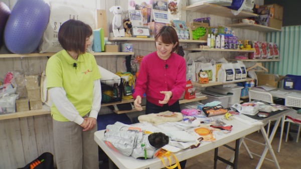 もしもに備えて！知っておきたいペットの防災 | 月曜リサーチ 知っとっ