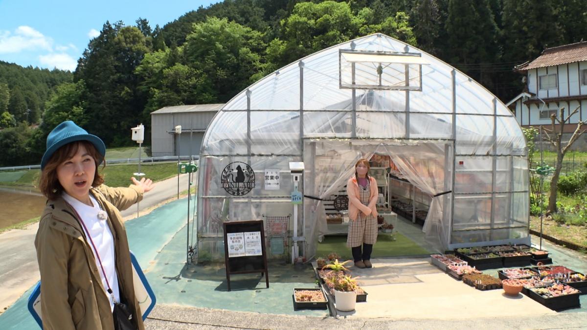 まひろ商品です。(次回クーポンまでのお取置き) 青森東店】🔨工具買取のお知らせ🔨 - 萬屋（よろずや）