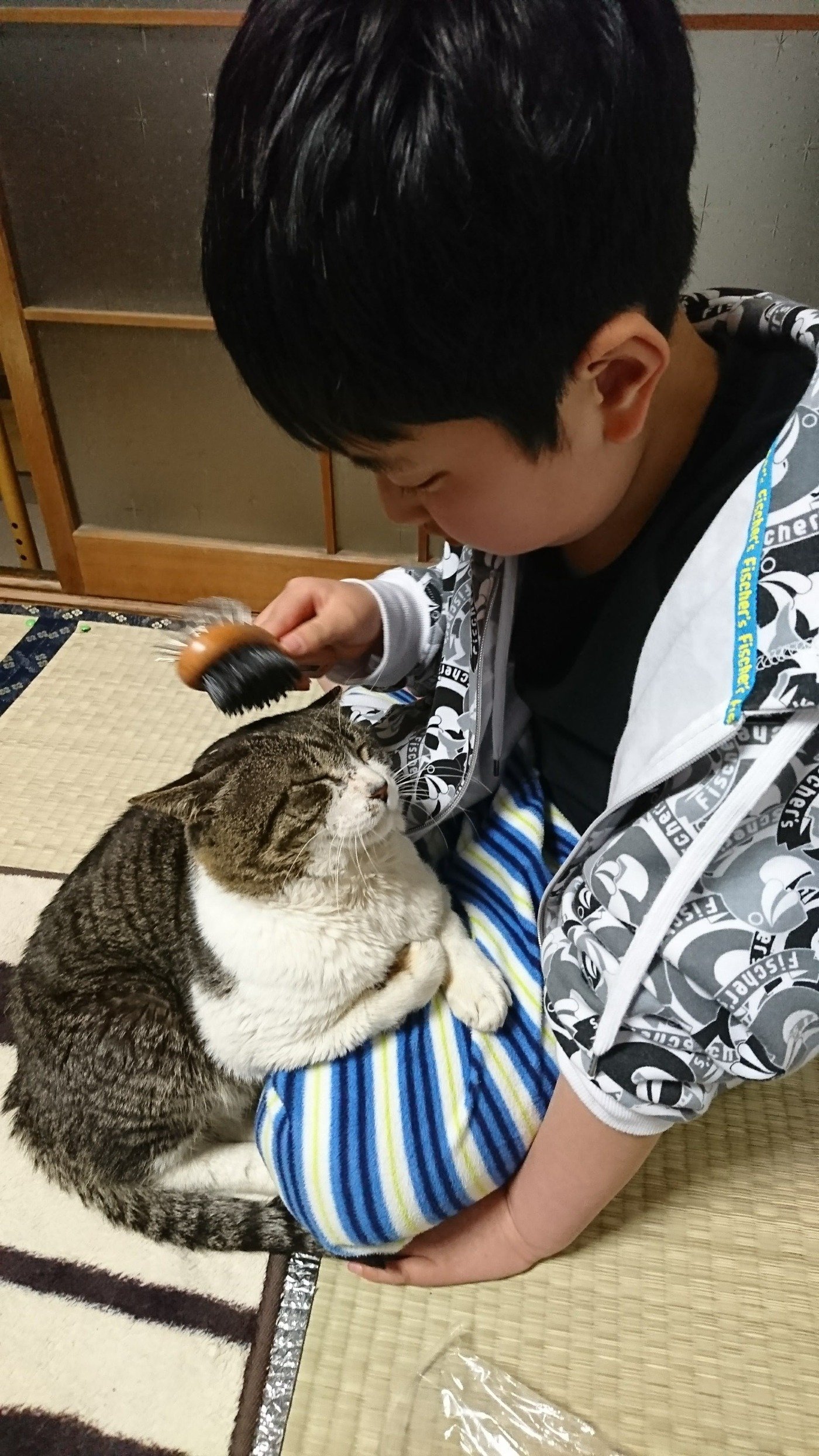 きーちゃん