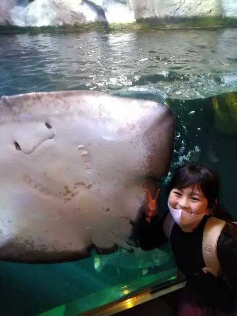 のんちゃん