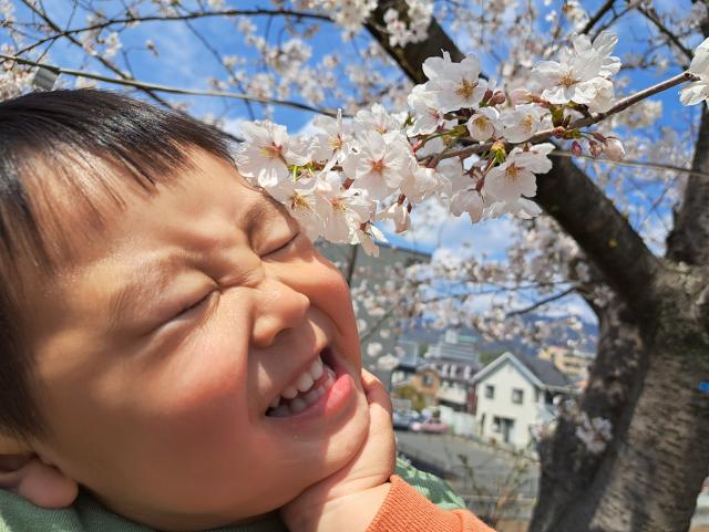 あんちゃん
