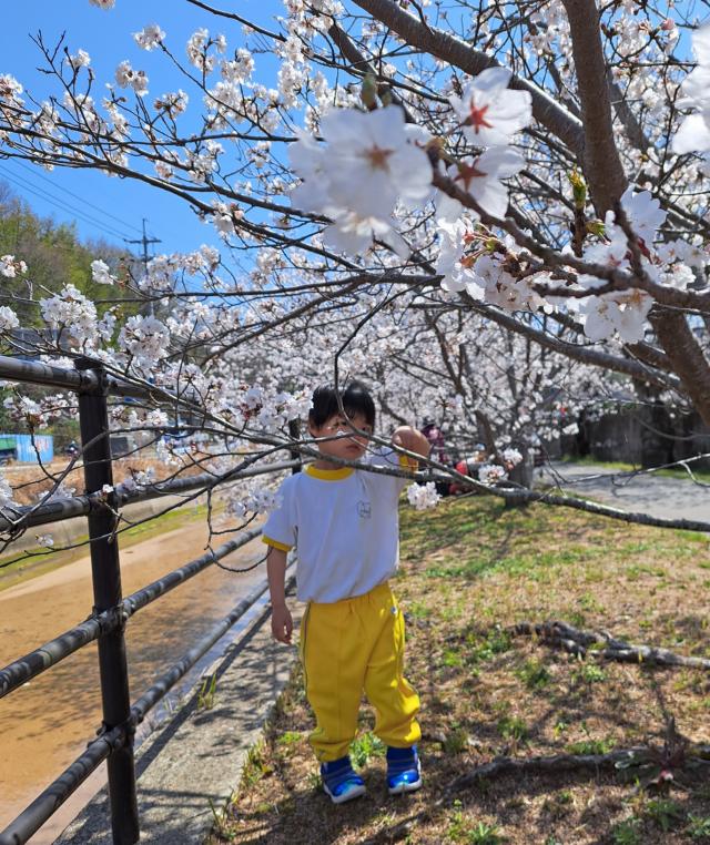 Sakuraちゃん