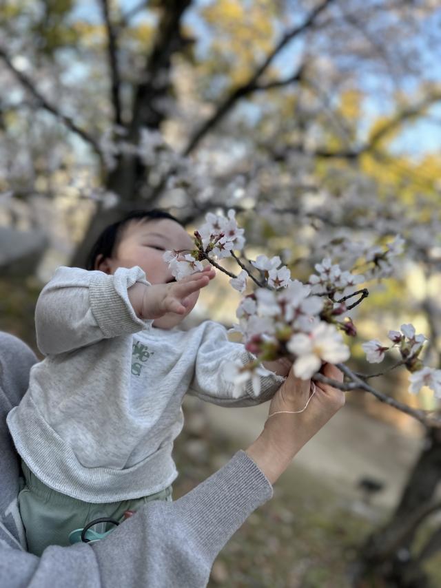 はるぱん