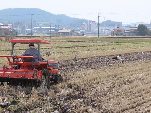 カル