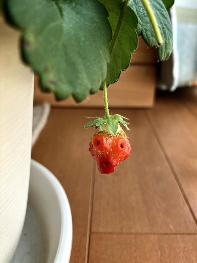 うあ.