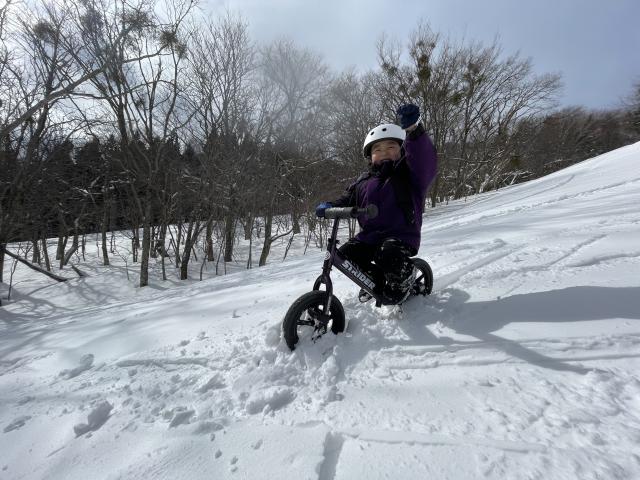 おりりー