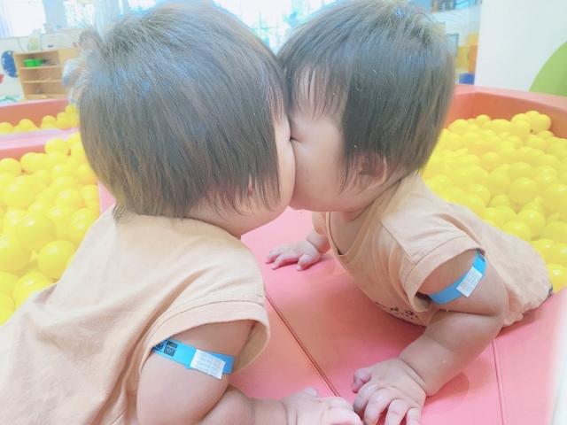 たにふみ