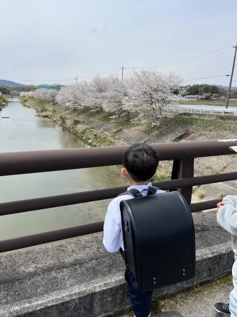りんそうグランマ