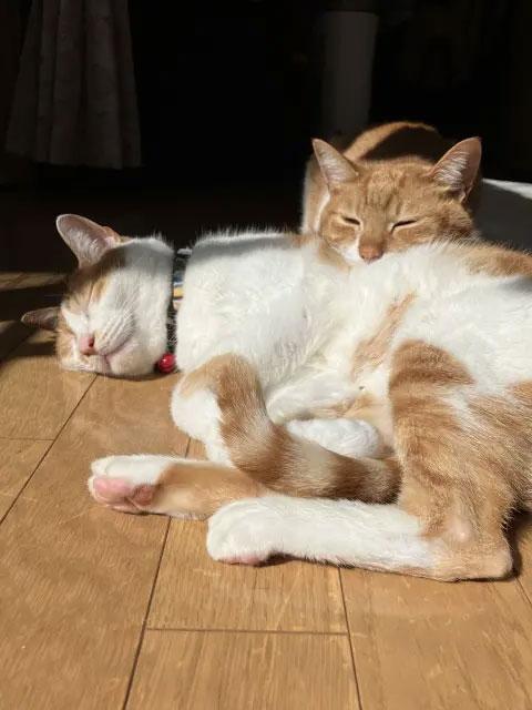 なお