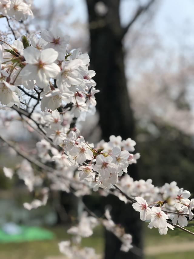 縁もゆかりも一期一会