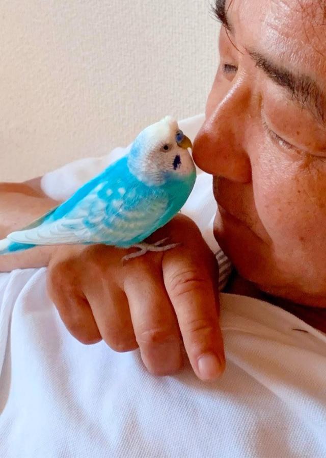 ぴーちゃんママ