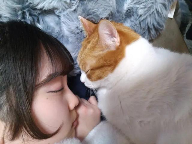 ネコのみーちゃん