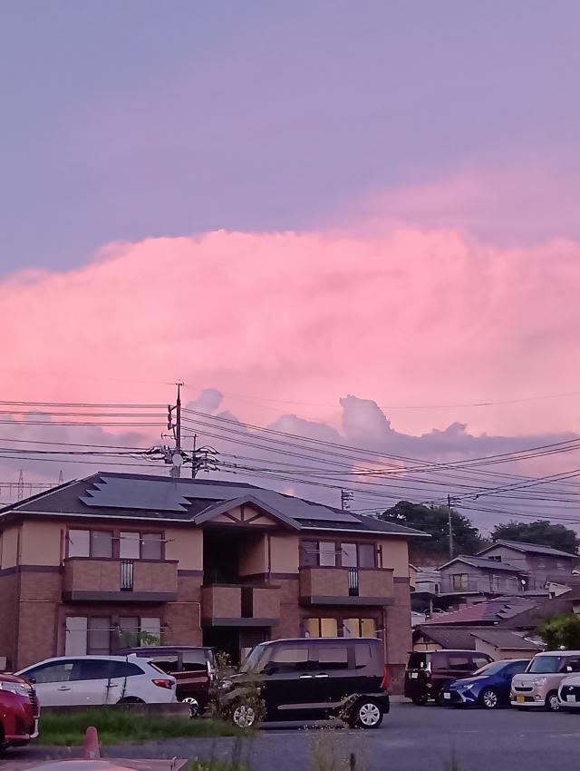 府中市の肝っ玉母ちゃん