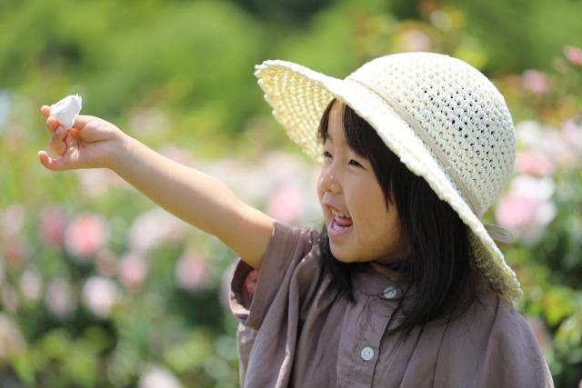 やさしいエルサ