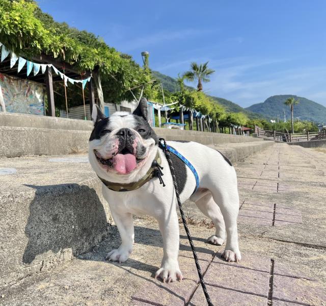 おしゃむらいさん