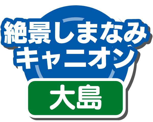 絶景しまなみキャニオン(大島)
