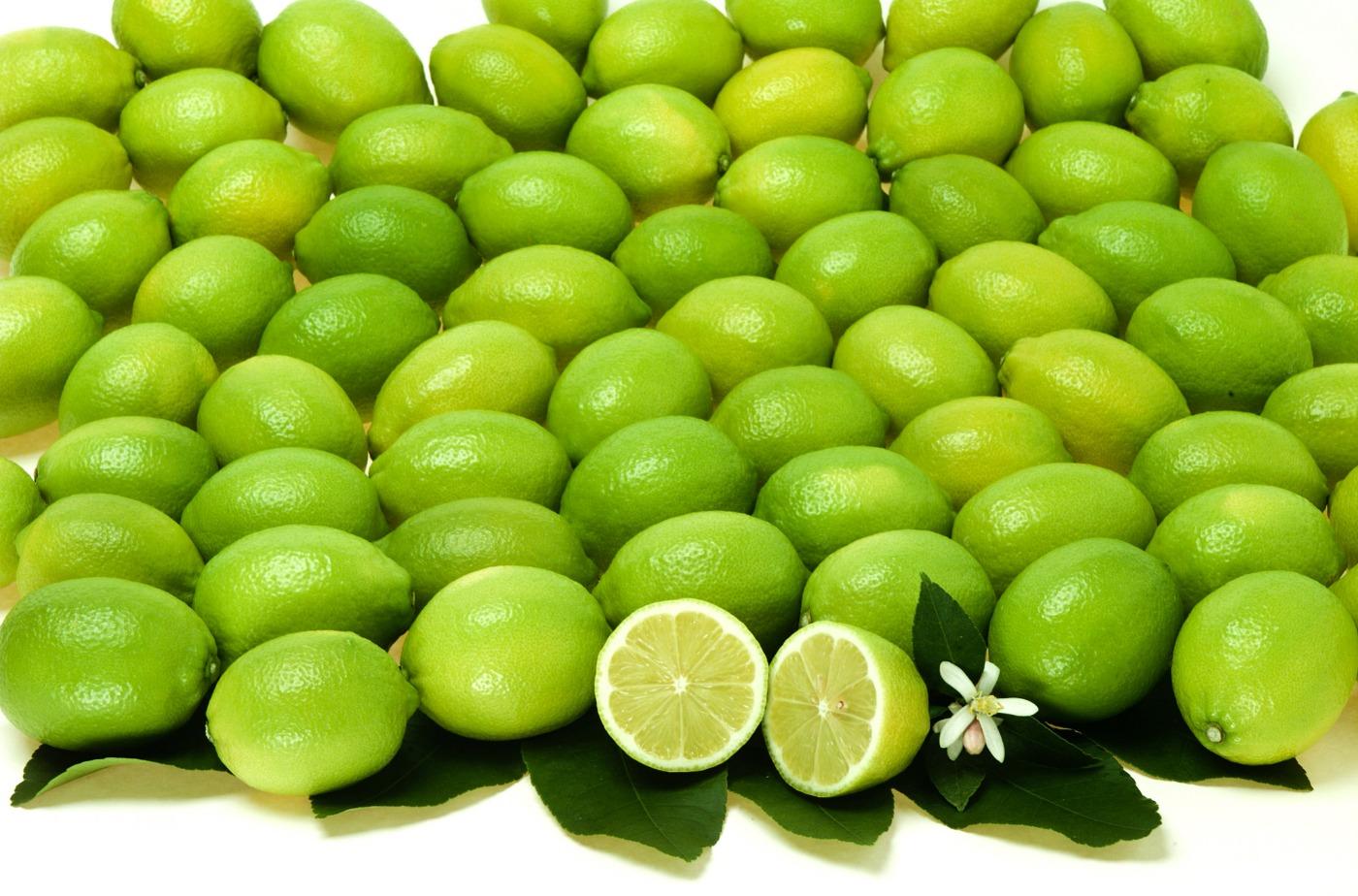 いわぎレモン<br>(いわぎ物産センター)