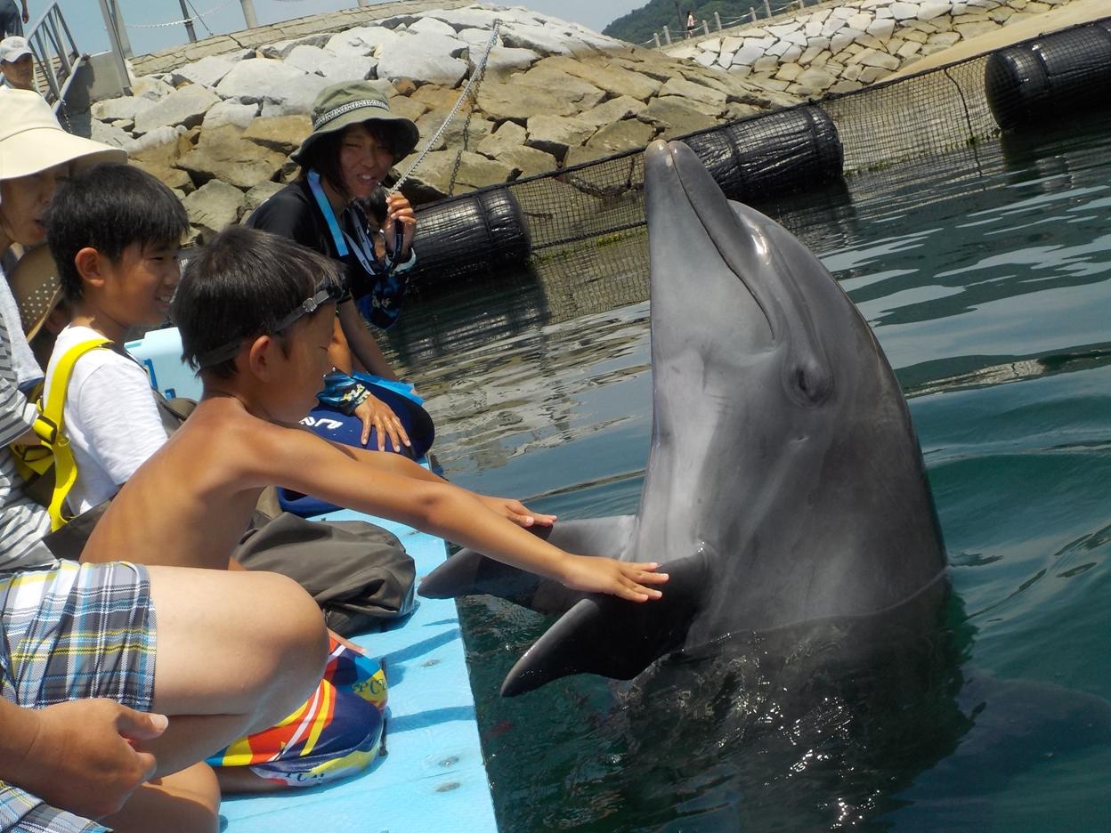 ドルフィンファームしまなみ