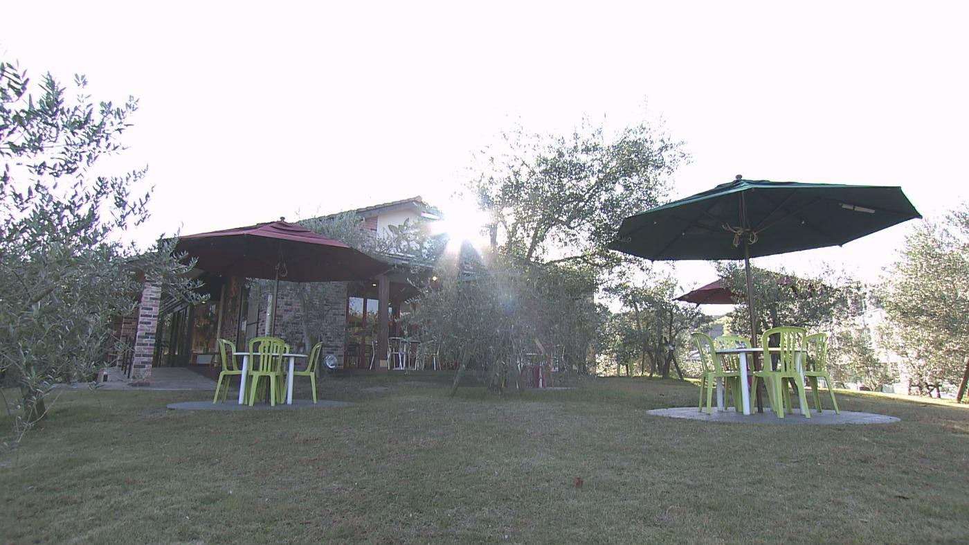 江田島オリーブファクトリー