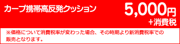 5000円+消費税