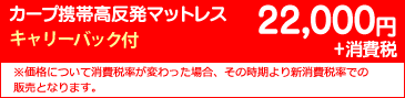 22000円+消費税