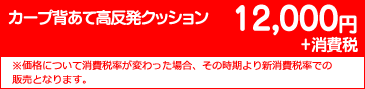 12000円+消費税