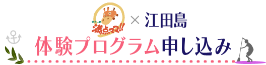 江田島体験プログラム申し込み