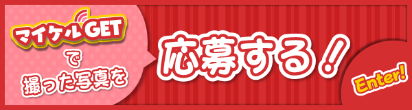 応募する