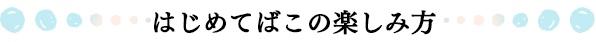 はじめてばこの楽しみ方