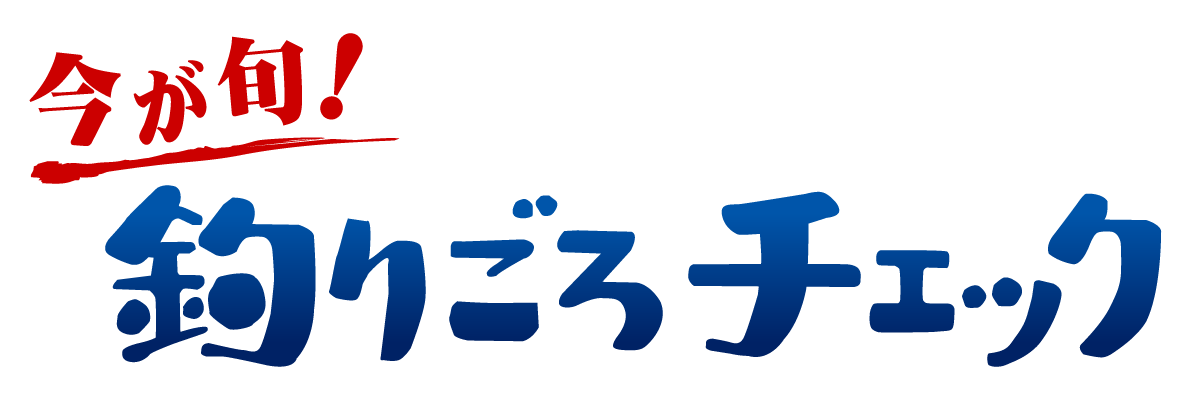 今が旬！釣りごろチェック